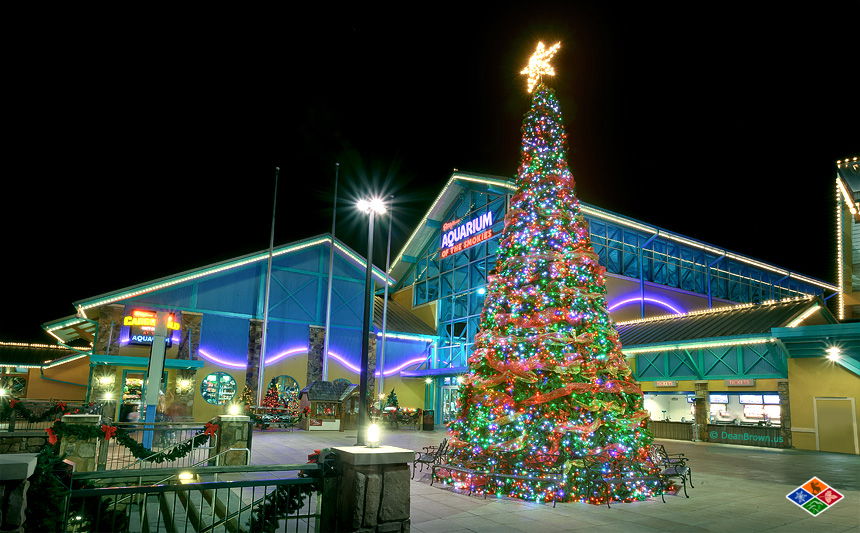 Ripleys aquarium of the smokies at christmas time