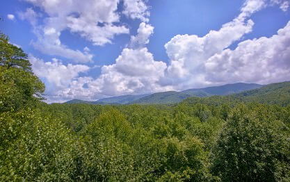 Tree Tops - Gatlinburg Cabin - Smoky Mountains